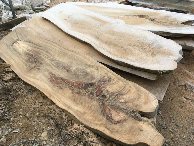 100-årig alm. Nysågad. Vilket bord det blir!!!
