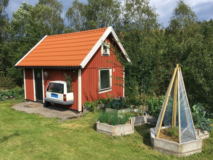 Säljer bärplantor för att berika din trädgård med nyttigheter och för att gynna bin och humlor. Trädgårdskonsultation och hjälp i trädgården erbjuds. I healingstugan erbjuds djupt avslappnande healingmassage som lösgör spänningar och hjälper energin flöda fritt i kroppen. Certifierad Kildenterapeut.
Distanshealing, djurkommunikation och avläsning/husrensning av andeväsen.
Plantförsäljningen har öppet när ni bokat tid, ring Eva på tel; 070-104 54 25. Grönered Habacken i Hyssna. 